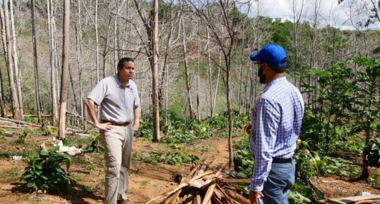 Medio Ambiente somete a hombre por tala de árboles en Monte Plata