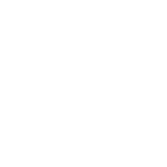 punta-cana-tv