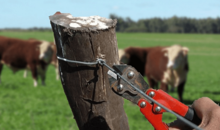 Policía Nacional captura hombre acusado de sustraer vacas en Higüey