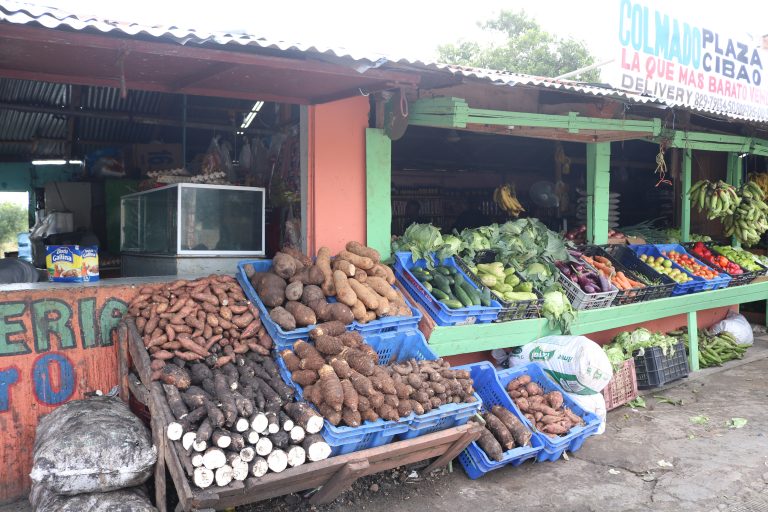 Ingredientes para elaborar cena de Nochebuena alcanzan los RD$8 mil