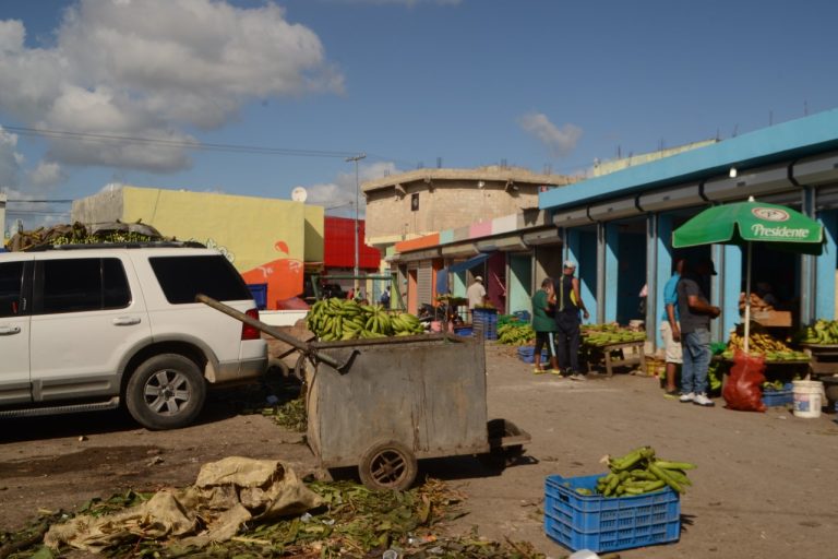 Áreas del Mercado Municipal de La Romana lucen descuidadas