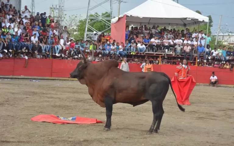 Resurge debate por proyecto declara corridas de toros Patrimonio Cultural de El Seibo