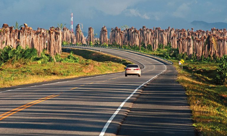 Tránsito, transporte y vialidad