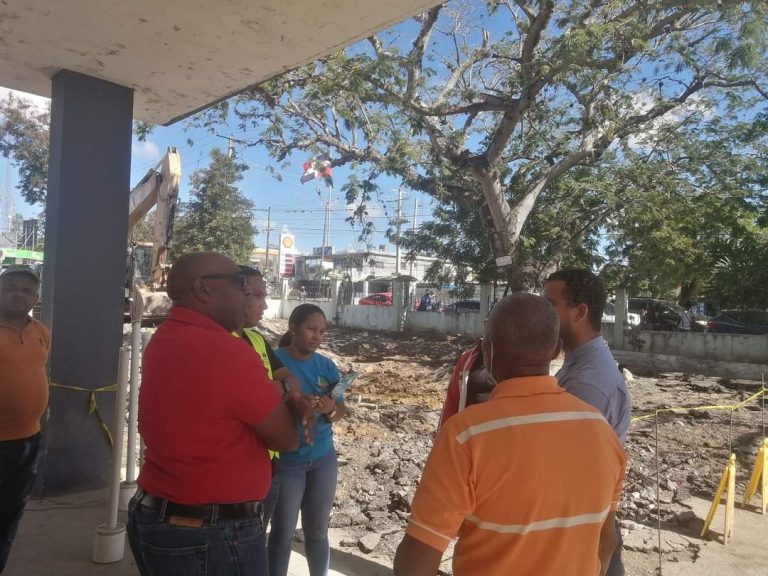 Medio Ambiente supervisa derribo de árbol centenario en hospital doctor Teófilo Hernández