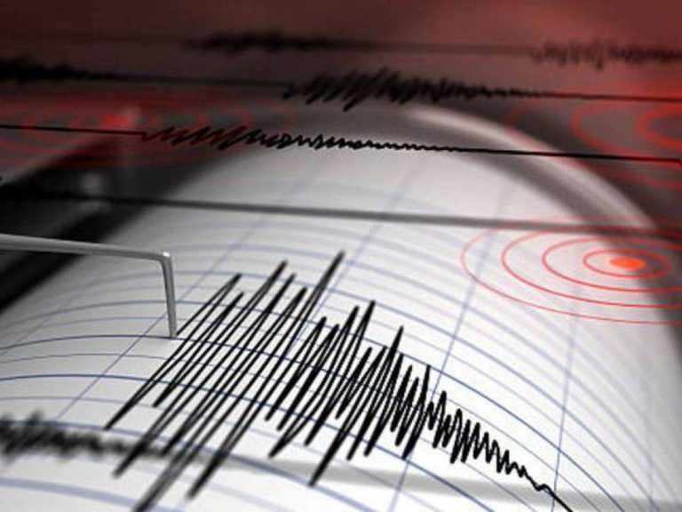 Tras fuerte temblor, el COE no registra daños a infraestructura