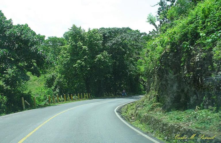 Muere joven en carretera San Pedro-Ramón Santana al chocar moto con caballo