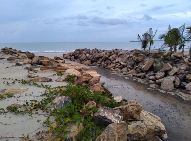 Micheros denuncian daños medioambientales en Playa Arriba