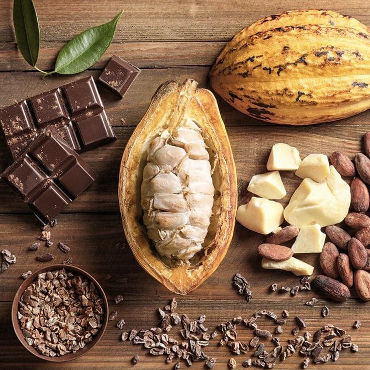 Nuevo estudio sugiere a personas mayores consumir cacao