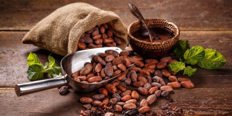 Beneficios de suplementos de extracto de cacao en personas mayores